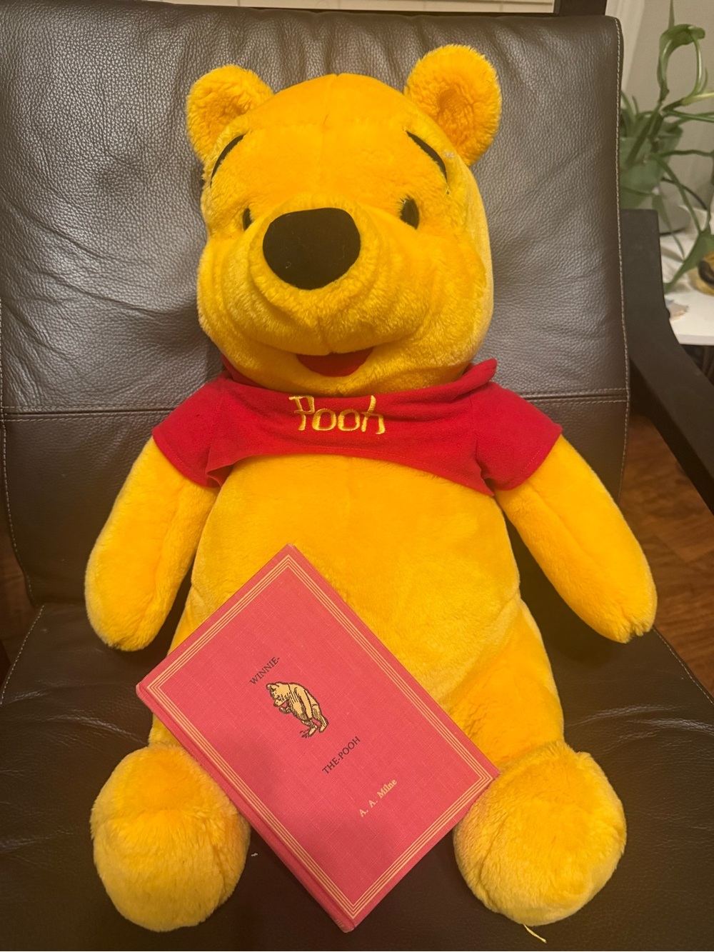 Winnie the Pooh by A,A. Milne book w/D24” Winnie the Pooh Plush - Picture 10 of 12